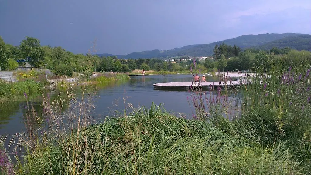 Pension Arbersonne Байериш-Айзенштайн 0*,